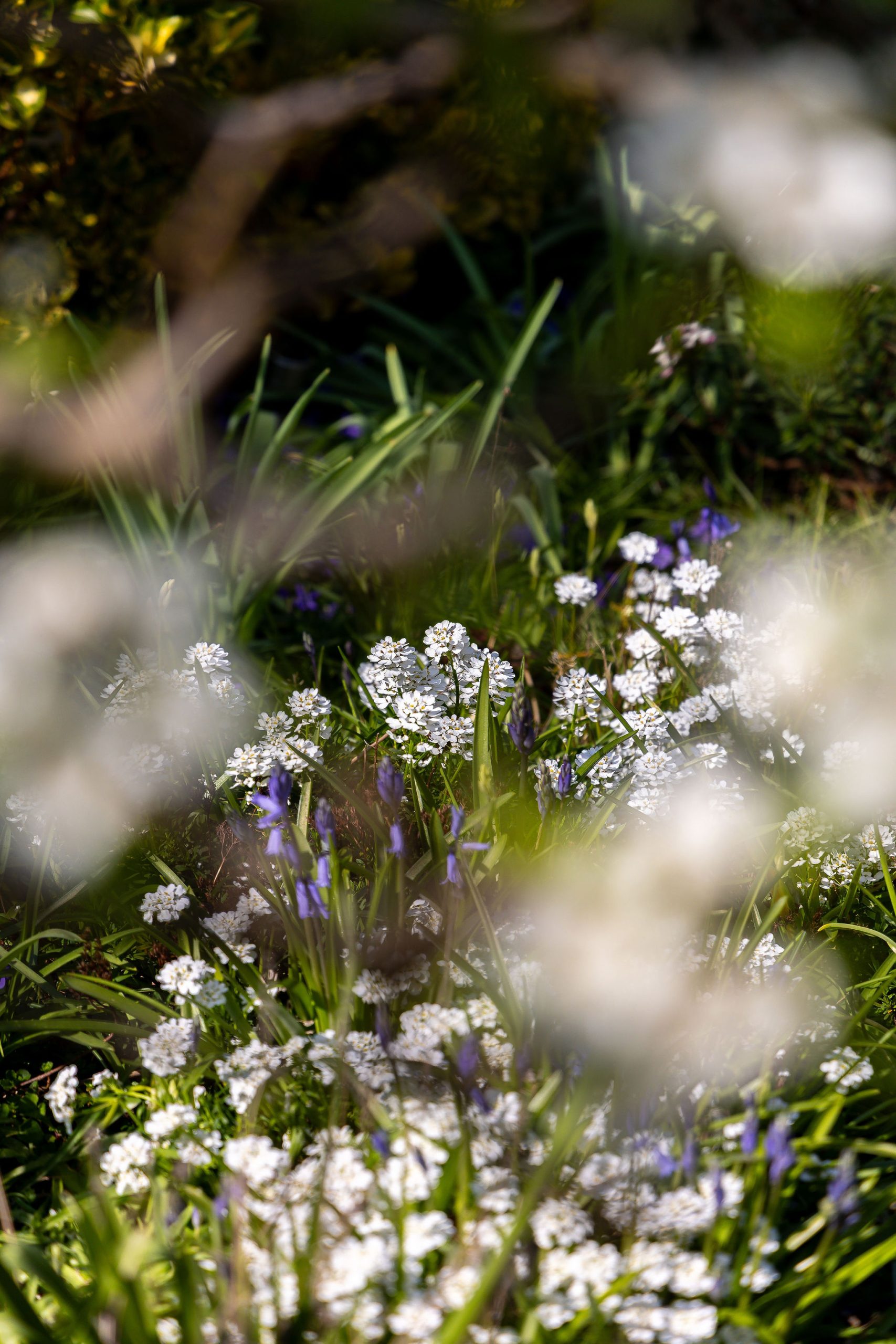 4J6A8191CroftCottage.Highres.jpg