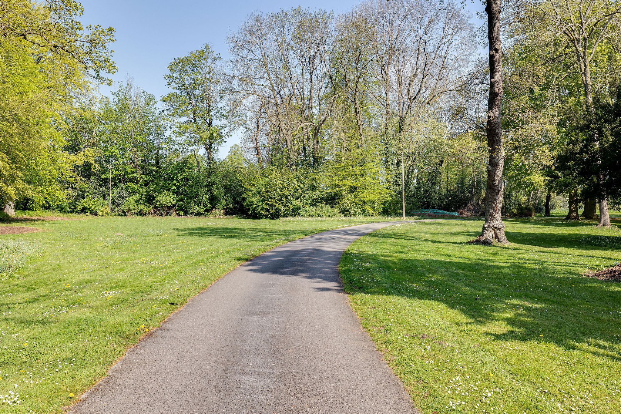 4J6A3878HDR6TrevalynManor.Highres.jpg